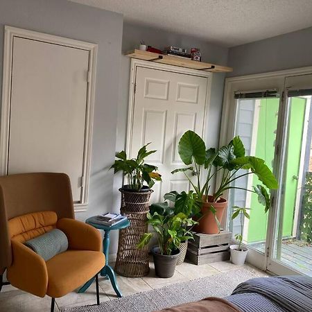 Luxury Greenhouse Studio Apartment Остин Екстериор снимка