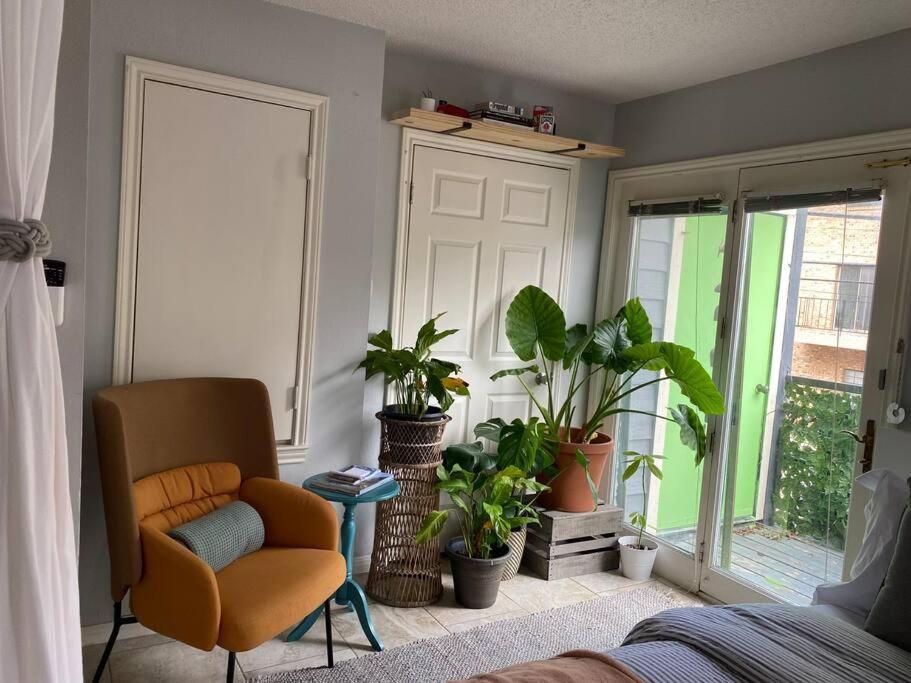 Luxury Greenhouse Studio Apartment Остин Екстериор снимка